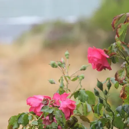 Haus Seesand Apartament Wittdün