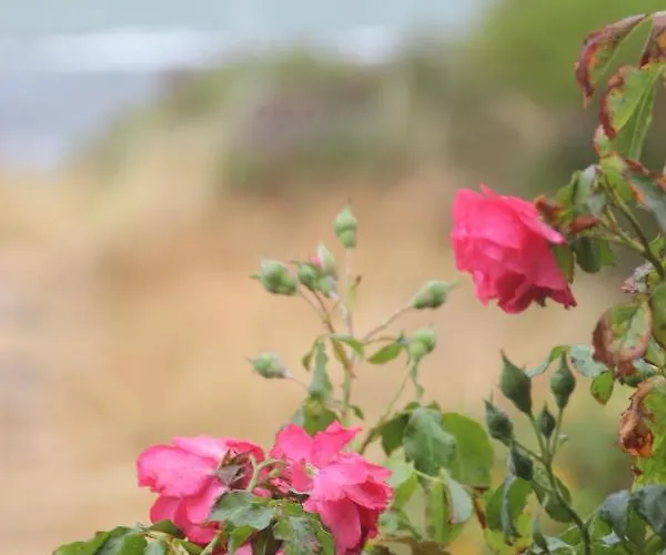 Haus Seesand Appartamento Wittdün